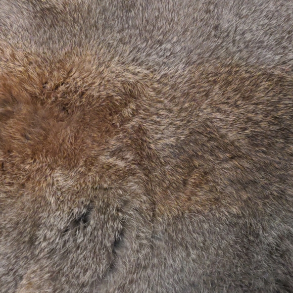 Gray with carmel colors rabbit fur - Picture 2 of 3